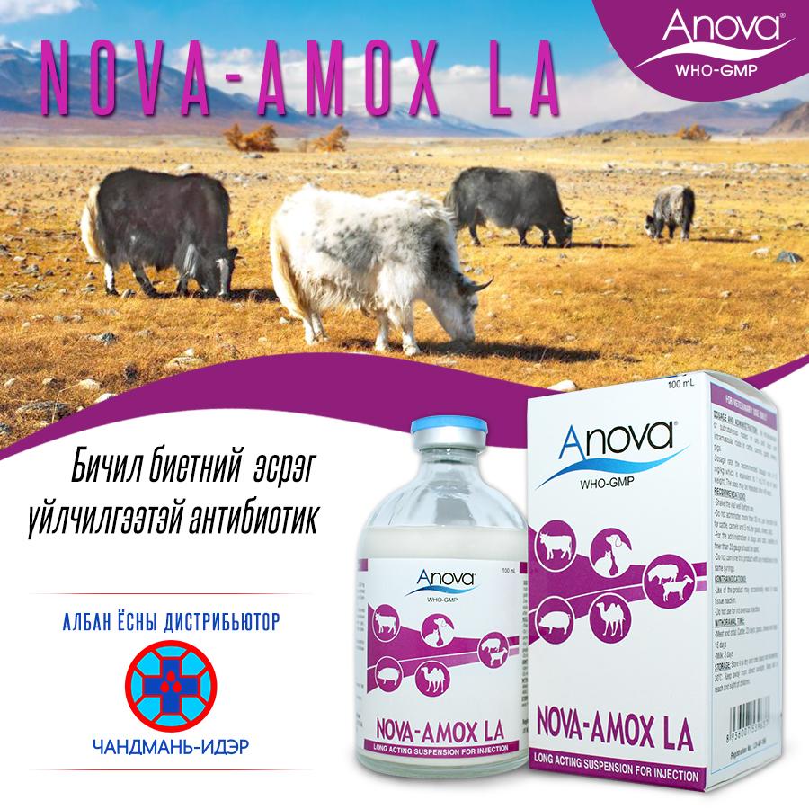 Нова Амокс-ЛА