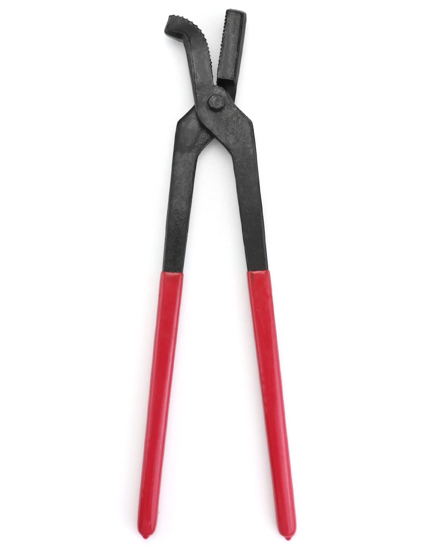 Хадаас чангалагч бахь