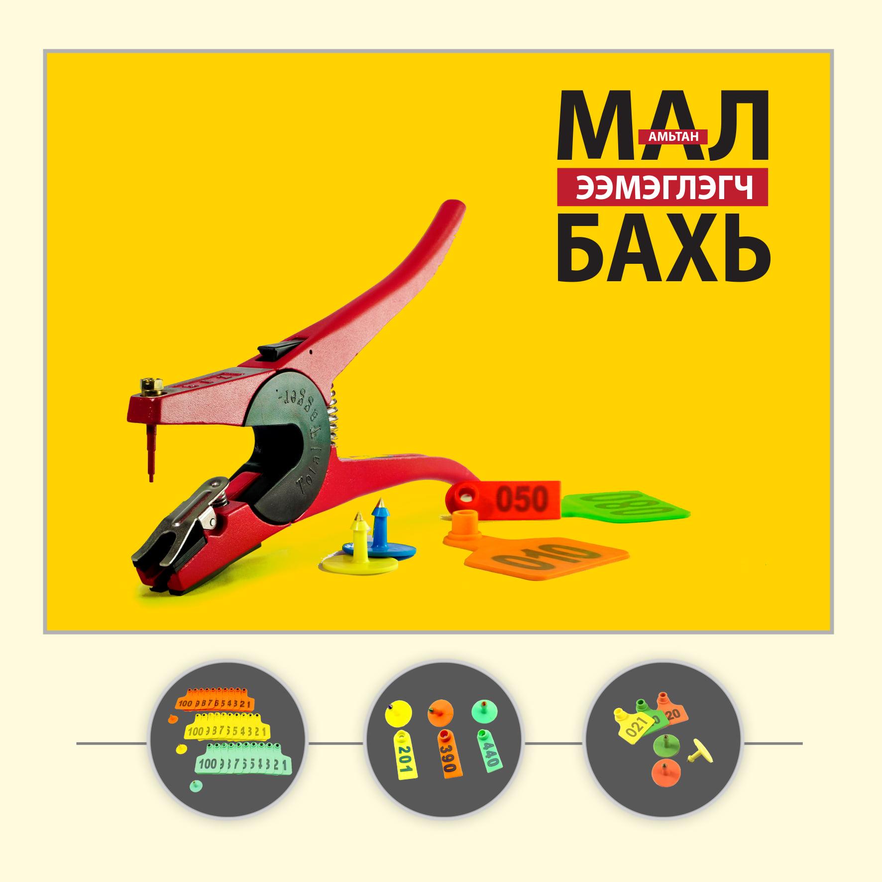 Ээмэглэгч бахь