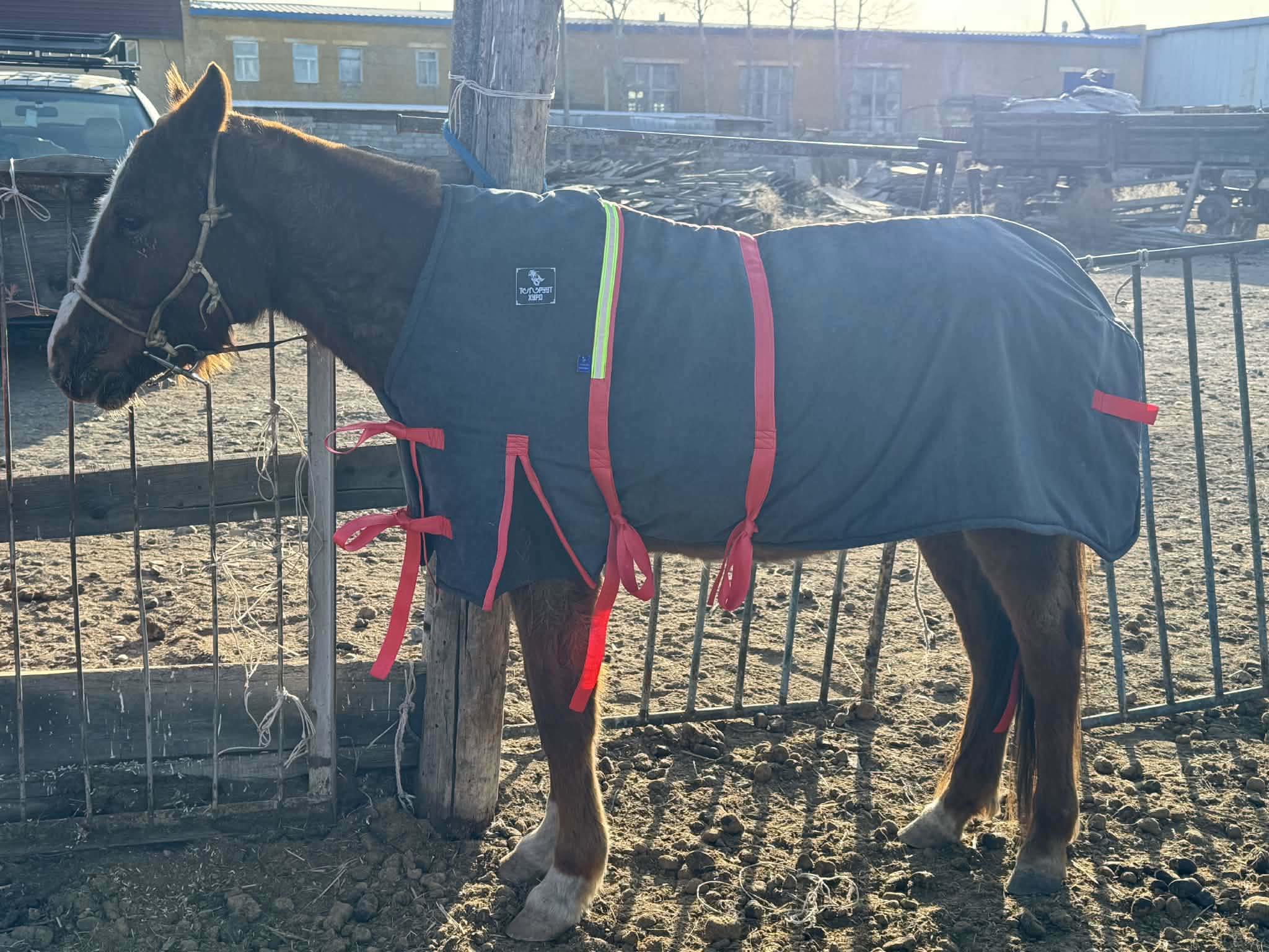 Өвлийн нэмнээ /Адууны/ размер 2